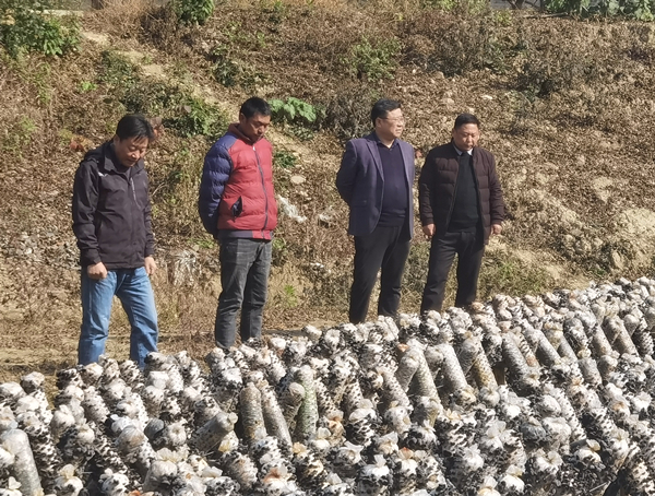 1702005052383008.jpg 微信图片_20231207111643.jpg