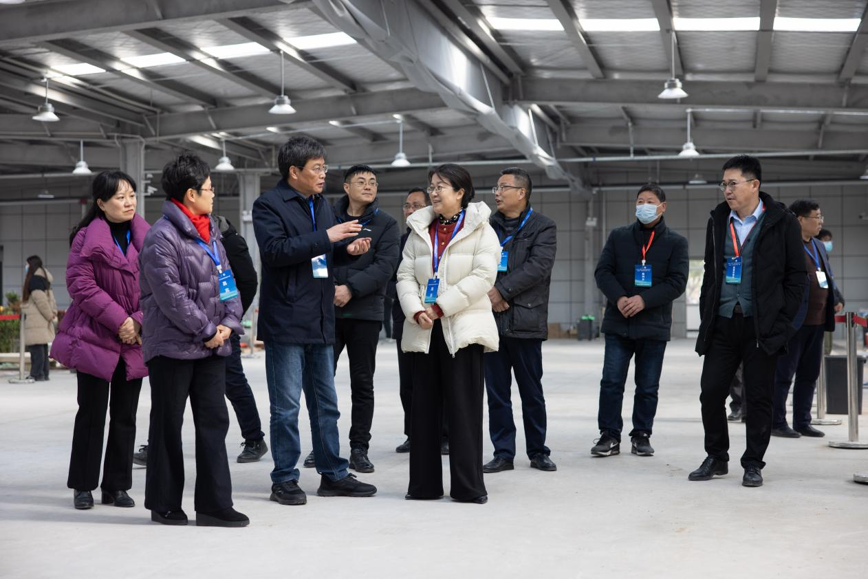 1707272239287502.png 1707272239287502.png